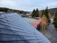 20241103_070211 (1024x768).jpg